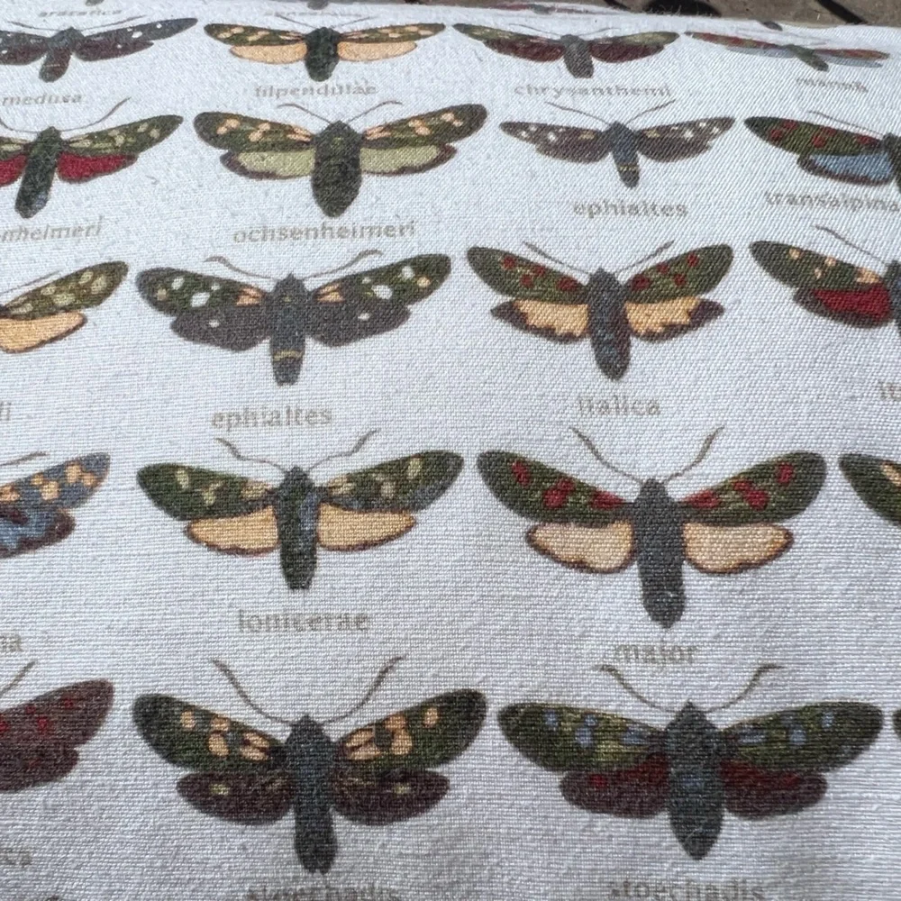 Pottery Barn Dragonfly/moth Lumbar Decorative Pillow 16 x 26